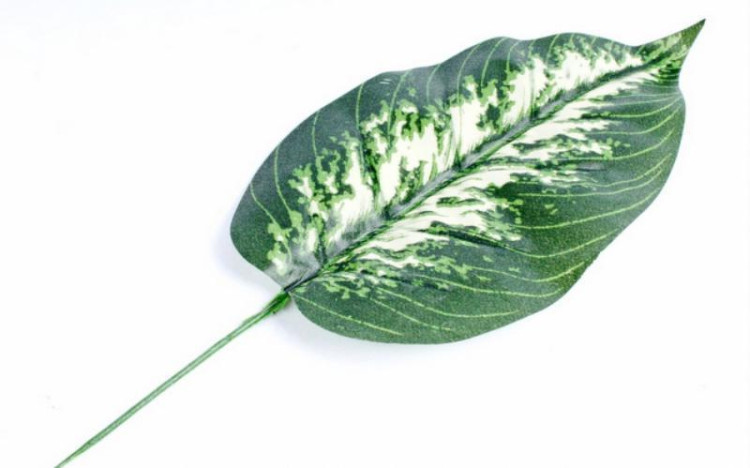 Лист диффенбахия 54,5см арт.1989